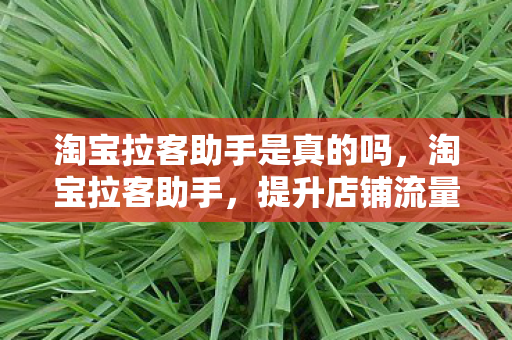 淘宝拉客助手是真的吗,淘宝拉客助手,提升店铺流量的秘密武器 淘宝拉客助手是真的吗,淘宝拉客助手,提升店铺流量的秘密武器