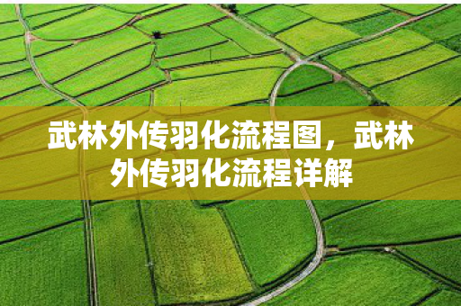 武林外传羽化流程图,武林外传羽化流程详解 武林外传羽化流程图,武林外传羽化流程详解