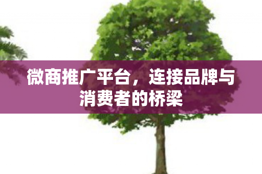 微商推广平台,连接品牌与消费者的桥梁 微商推广平台,连接品牌与消费者的桥梁