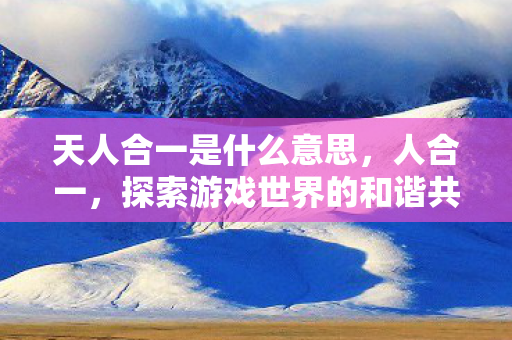 天人合一是什么意思，人合一，探索游戏世界的和谐共生之道