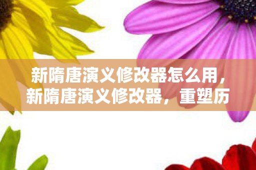 新隋唐演义修改器怎么用,新隋唐演义修改器,重塑历史风云的奇幻之旅 新隋唐演义修改器怎么用,新隋唐演义修改器,重塑历史风云的奇幻之旅