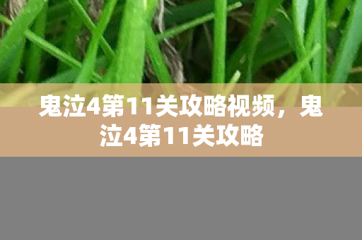 鬼泣4第11关攻略视频,鬼泣4第11关攻略 鬼泣4第11关攻略视频,鬼泣4第11关攻略