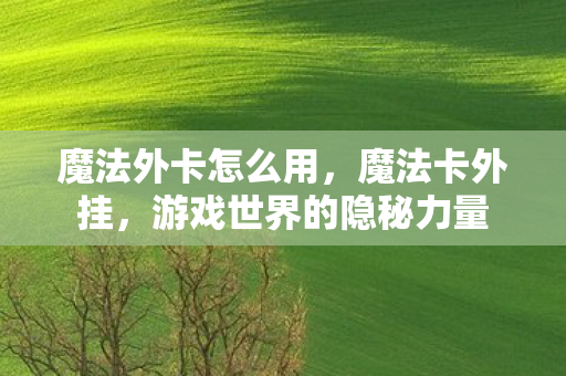 魔法外卡怎么用,魔法卡外挂,游戏世界的隐秘力量 魔法外卡怎么用,魔法卡外挂,游戏世界的隐秘力量
