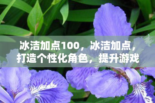 冰洁加点100，冰洁加点，打造个性化角色，提升游戏战斗力的关键