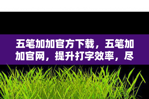五笔加加官方下载,五笔加加官网,提升打字效率,尽享便捷输入 五笔加加官方下载,五笔加加官网,提升打字效率,尽享便捷输入