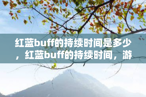 红蓝buff的持续时间是多少，红蓝buff的持续时间，游戏节奏与策略的关键