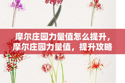 摩尔庄园力量值怎么提升,摩尔庄园力量值,提升攻略与趣味玩法 摩尔庄园力量值怎么提升,摩尔庄园力量值,提升攻略与趣味玩法