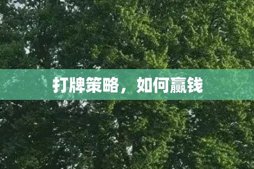 打牌策略,如何赢钱 打牌策略,如何赢钱