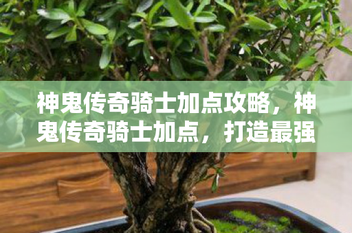 神鬼传奇骑士加点攻略，神鬼传奇骑士加点，打造最强骑士的攻略