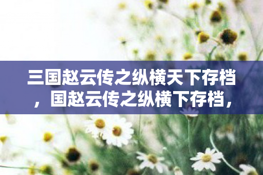三国赵云传之纵横天下存档,国赵云传之纵横下存档,探索历史与游戏的交汇点 三国赵云传之纵横天下存档,国赵云传之纵横下存档,探索历史与游戏的交汇点