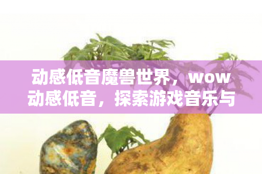 动感低音魔兽世界，wow动感低音，探索游戏音乐与音效的无限可能