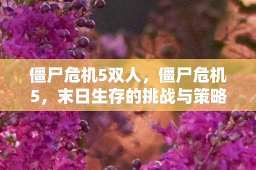 僵尸危机5双人,僵尸危机5,末日生存的挑战与策略 僵尸危机5双人,僵尸危机5,末日生存的挑战与策略