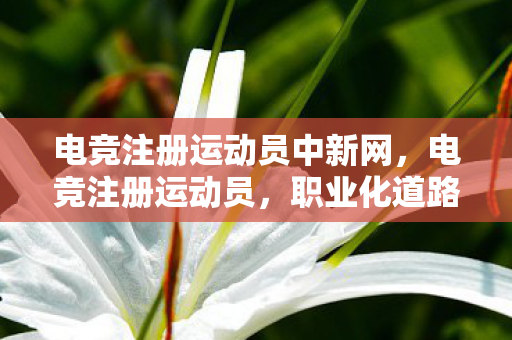 职业化道路上的挑战与机遇图片