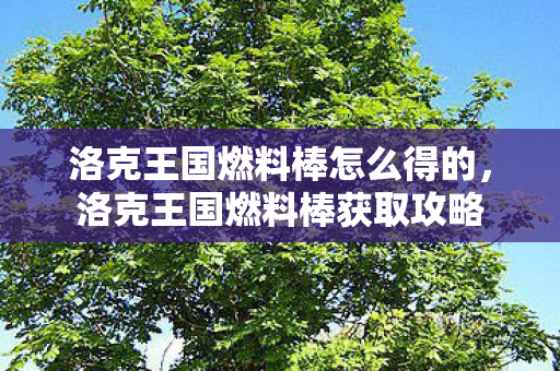 洛克王国燃料棒怎么得的,洛克王国燃料棒获取攻略 洛克王国燃料棒怎么得的,洛克王国燃料棒获取攻略