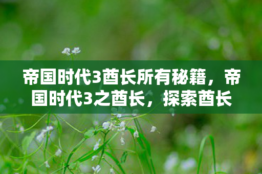 帝国时代3酋长所有秘籍,帝国时代3之酋长,探索酋长的崛起与帝国荣耀 帝国时代3酋长所有秘籍,帝国时代3之酋长,探索酋长的崛起与帝国荣耀