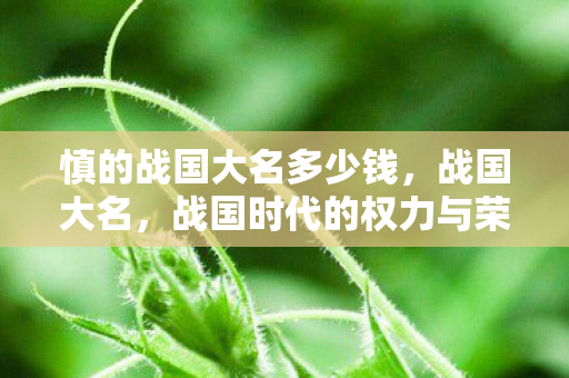 慎的战国大名多少钱,战国大名,战国时代的权力与荣耀 慎的战国大名多少钱,战国大名,战国时代的权力与荣耀