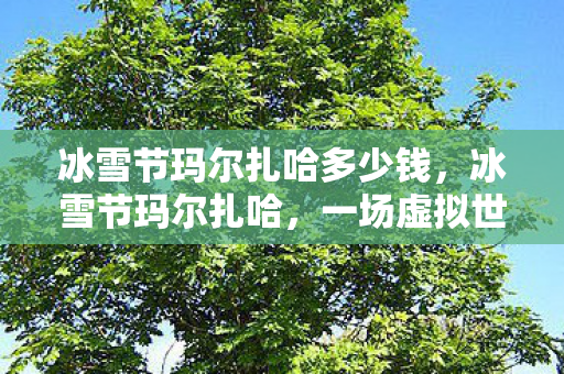 冰雪节玛尔扎哈多少钱,冰雪节玛尔扎哈,一场虚拟世界的盛宴 冰雪节玛尔扎哈多少钱,冰雪节玛尔扎哈,一场虚拟世界的盛宴