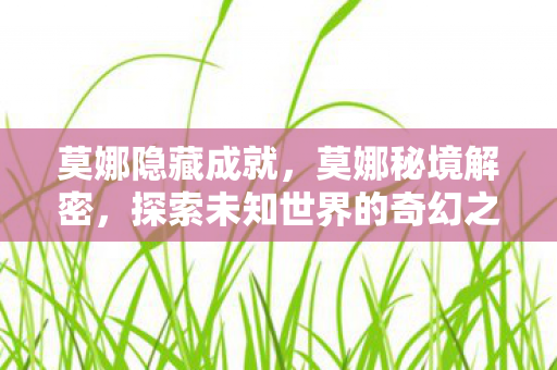 莫娜隐藏成就，莫娜秘境解密，探索未知世界的奇幻之旅