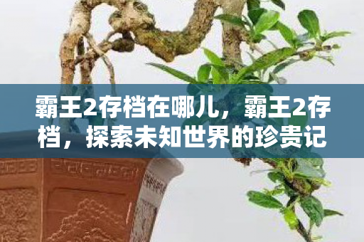 霸王2存档在哪儿，霸王2存档，探索未知世界的珍贵记录