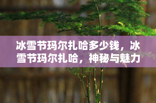 冰雪节玛尔扎哈多少钱,冰雪节玛尔扎哈,神秘与魅力的交织 冰雪节玛尔扎哈多少钱,冰雪节玛尔扎哈,神秘与魅力的交织