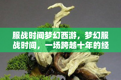服战时间梦幻西游,梦幻服战时间,一场跨越十年的经典PK盛宴 服战时间梦幻西游,梦幻服战时间,一场跨越十年的经典PK盛宴
