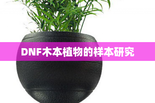 DNF木本植物的样本研究 DNF木本植物的样本研究