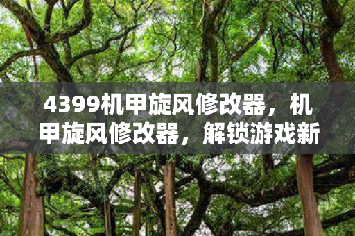 4399机甲旋风修改器,机甲旋风修改器,解锁游戏新境界的神奇工具 4399机甲旋风修改器,机甲旋风修改器,解锁游戏新境界的神奇工具