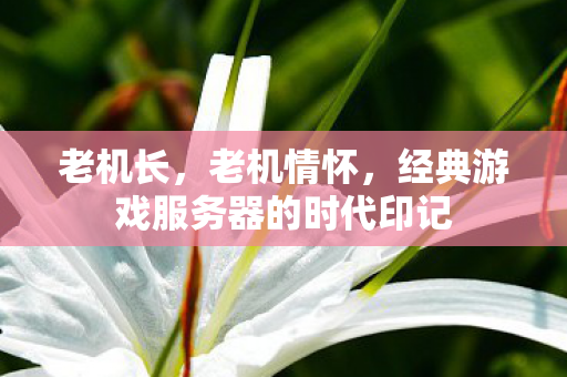 老机长，老机情怀，经典游戏服务器的时代印记
