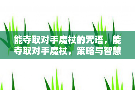 能夺取对手魔杖的咒语，能夺取对手魔杖，策略与智慧的博弈