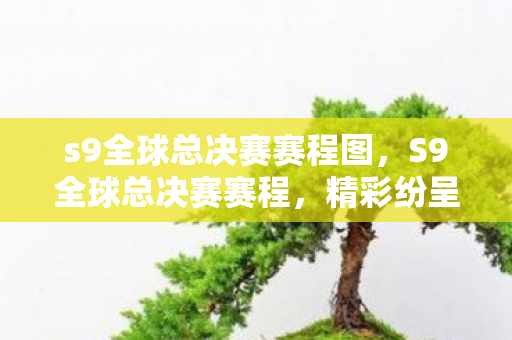 s9全球总决赛赛程图，S9全球总决赛赛程，精彩纷呈的电竞盛宴