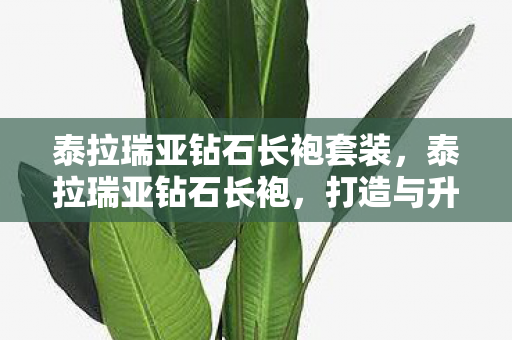 泰拉瑞亚钻石长袍套装,泰拉瑞亚钻石长袍,打造与升级攻略 泰拉瑞亚钻石长袍套装,泰拉瑞亚钻石长袍,打造与升级攻略