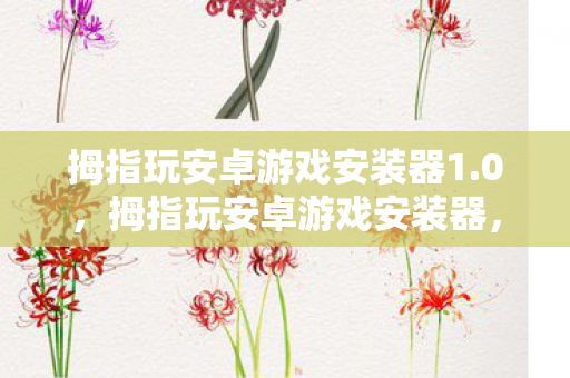 拇指玩安卓游戏安装器1.0，拇指玩安卓游戏安装器，便捷与安全的双重保障