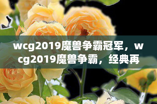 wcg2019魔兽争霸冠军,wcg2019魔兽争霸,经典再现,情怀与竞技的碰撞 wcg2019魔兽争霸冠军,wcg2019魔兽争霸,经典再现,情怀与竞技的碰撞