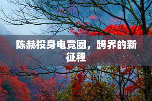 陈赫投身电竞圈,跨界的新征程 陈赫投身电竞圈,跨界的新征程