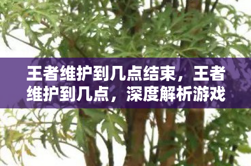 王者维护到几点结束,王者维护到几点,深度解析游戏维护背后的秘密 王者维护到几点结束,王者维护到几点,深度解析游戏维护背后的秘密
