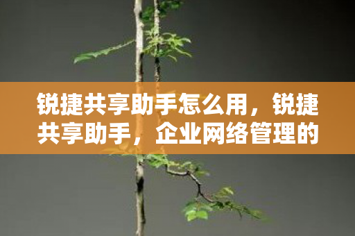 锐捷共享助手怎么用,锐捷共享助手,企业网络管理的得力助手 锐捷共享助手怎么用,锐捷共享助手,企业网络管理的得力助手