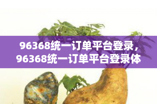 96368统一订单平台登录体验与优化建议图片
