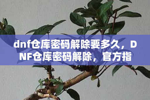 dnf仓库密码解除要多久,DNF仓库密码解除,官方指南与实用技巧 dnf仓库密码解除要多久,DNF仓库密码解除,官方指南与实用技巧