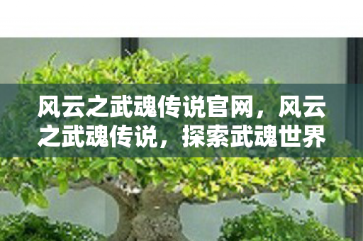 风云之武魂传说官网,风云之武魂传说,探索武魂世界的奇幻之旅 风云之武魂传说官网,风云之武魂传说,探索武魂世界的奇幻之旅