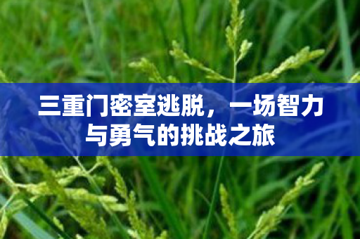 三重门密室逃脱,一场智力与勇气的挑战之旅 三重门密室逃脱,一场智力与勇气的挑战之旅