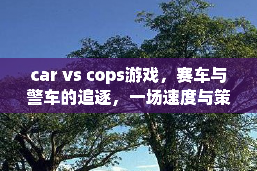 car vs cops游戏,赛车与警车的追逐,一场速度与策略的较量 car vs cops游戏,赛车与警车的追逐,一场速度与策略的较量