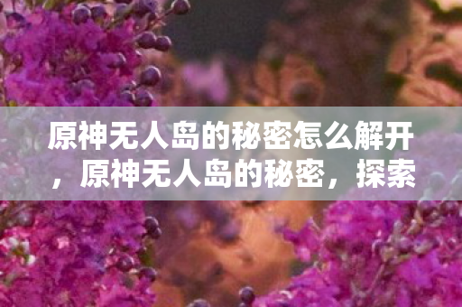 原神无人岛的秘密怎么解开,原神无人岛的秘密,探索未知与奇幻的旅程 原神无人岛的秘密怎么解开,原神无人岛的秘密,探索未知与奇幻的旅程