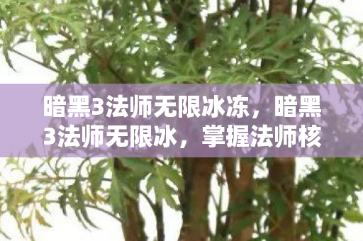 暗黑3法师无限冰冻,暗黑3法师无限冰,掌握法师核心技能,打造无限冰冻的传奇之路 暗黑3法师无限冰冻,暗黑3法师无限冰,掌握法师核心技能,打造无限冰冻的传奇之路