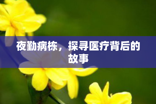 夜勤病栋,探寻医疗背后的故事 夜勤病栋,探寻医疗背后的故事