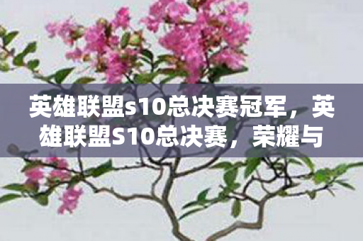 英雄联盟s10总决赛冠军,英雄联盟S10总决赛,荣耀与梦想的巅峰对决 英雄联盟s10总决赛冠军,英雄联盟S10总决赛,荣耀与梦想的巅峰对决