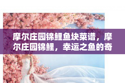 摩尔庄园锦鲤鱼块菜谱,摩尔庄园锦鲤,幸运之鱼的奇妙之旅 摩尔庄园锦鲤鱼块菜谱,摩尔庄园锦鲤,幸运之鱼的奇妙之旅