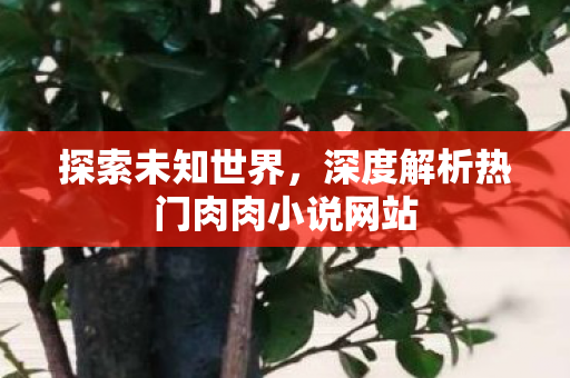 探索未知世界,深度解析热门肉肉小说网站 探索未知世界,深度解析热门肉肉小说网站