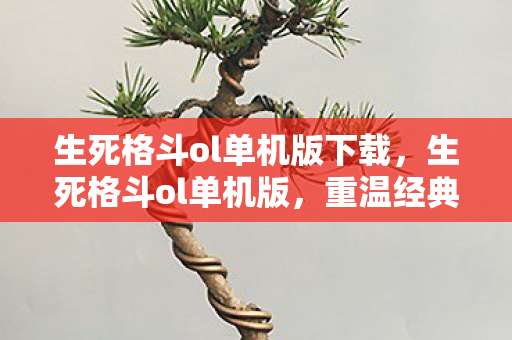 生死格斗ol单机版下载,生死格斗ol单机版,重温经典,独享战斗激情 生死格斗ol单机版下载,生死格斗ol单机版,重温经典,独享战斗激情