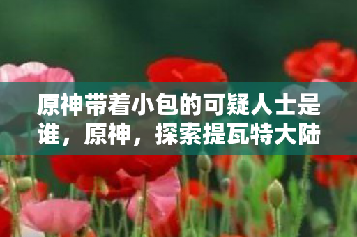 原神带着小包的可疑人士是谁,原神,探索提瓦特大陆,与带着小包的神秘旅人相遇 原神带着小包的可疑人士是谁,原神,探索提瓦特大陆,与带着小包的神秘旅人相遇