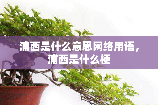 浦西是什么意思网络用语,浦西是什么梗 浦西是什么意思网络用语,浦西是什么梗